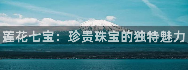 新航娱乐有限公司