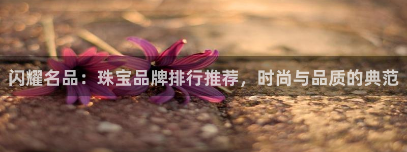 新航娱乐的创始人背景