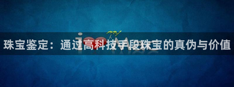 新航娱乐公司简介图片