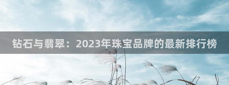 新航娱乐管理有限公司