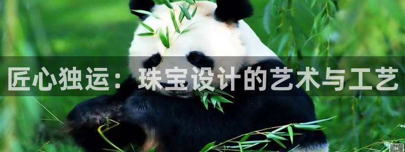 新航新客舱机上娱乐银