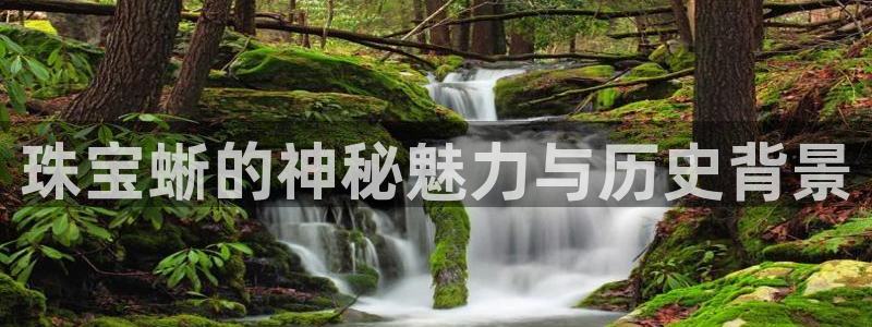 新航娱乐公司简介