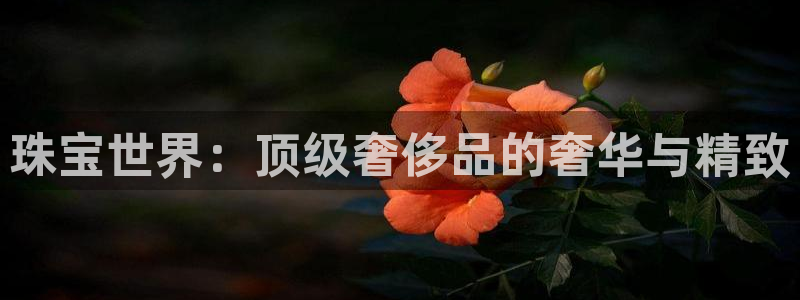 新航娱乐合法吗