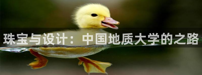 新航飞机椅背娱乐设备