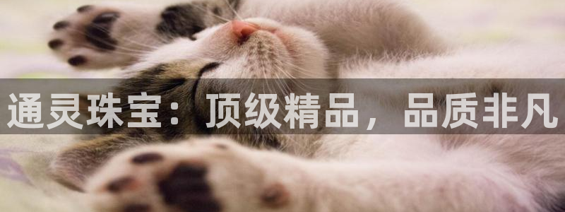 张掖新航线娱乐会所