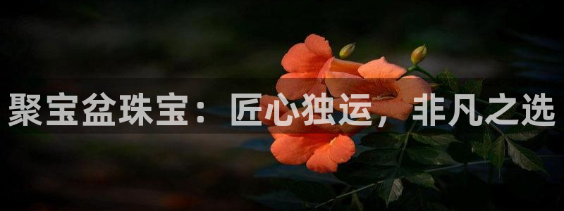 新航线娱乐会所