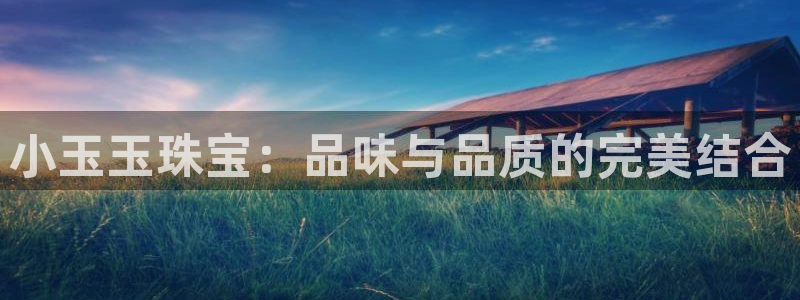 新航娱乐公司招聘