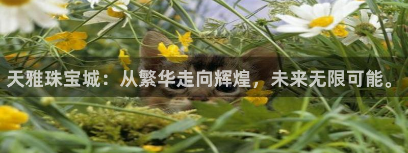 新航娱乐官方首页