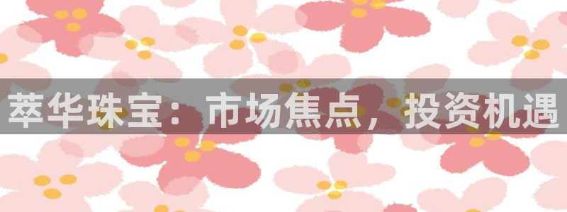 新航娱乐公司问题分析