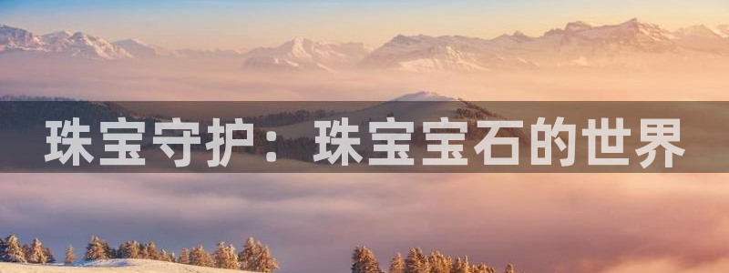 新航娱乐公司地址