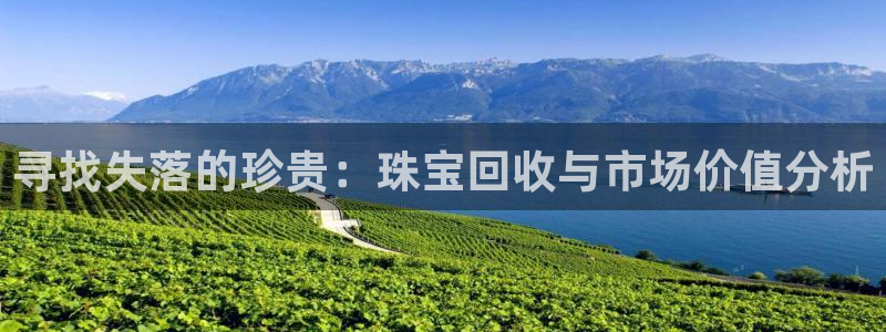 新航娱乐app下载安卓：寻找失落的珍贵：珠宝回收与市场价值分