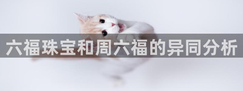 新航娱乐平台app下载