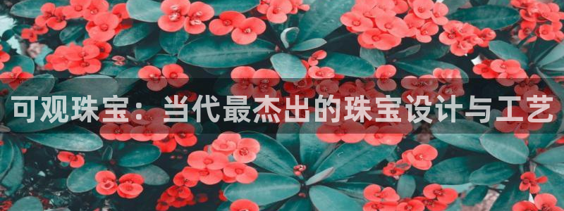 新航娱乐传媒招聘信息网