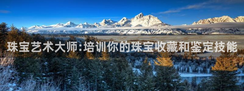 新航娱乐app下载