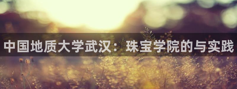 新航娱乐app下载安装