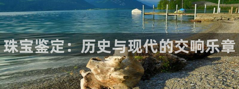 新航娱乐公司问题：珠宝鉴定：历史与现代的交响乐章