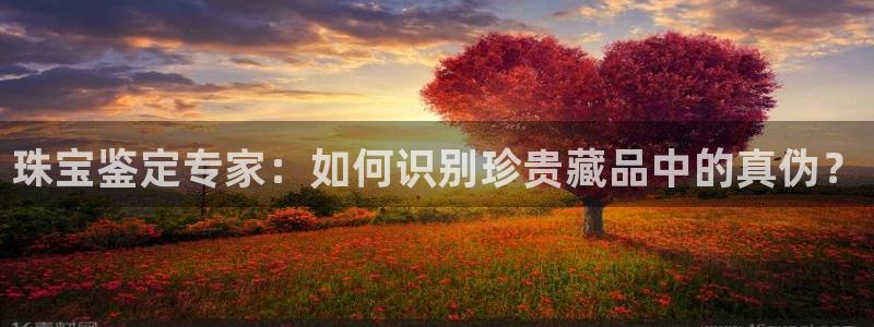 新航娱乐招商Q：珠宝鉴定专家：如何识别珍贵藏品中的真伪？