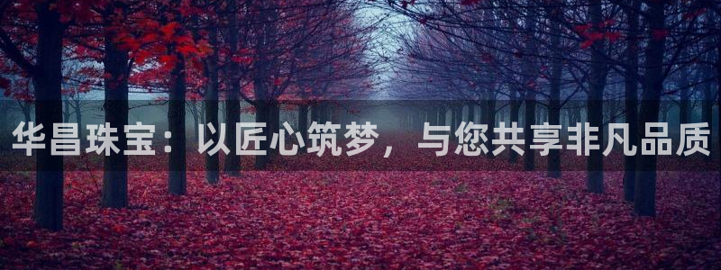 新航机上娱乐：华昌珠宝：以匠心筑梦，与您共享非凡品质