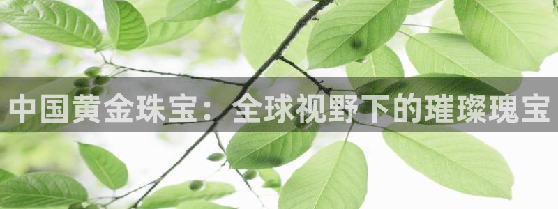 中国新航娱乐官网入口：中国黄金珠宝：全球视野下的璀璨瑰宝