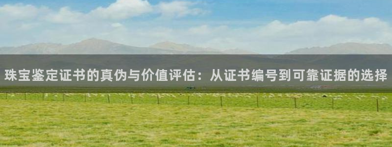 新航娱乐直开怎么下载：珠宝鉴定证书的真伪与价值评估：从证书编