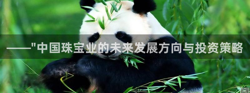 新航娱乐系统设置：——\