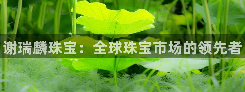 新航sq806娱乐系统：谢瑞麟珠宝：全球珠宝市场的领先者