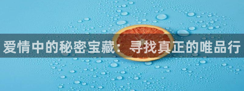 新航娱乐公司地址