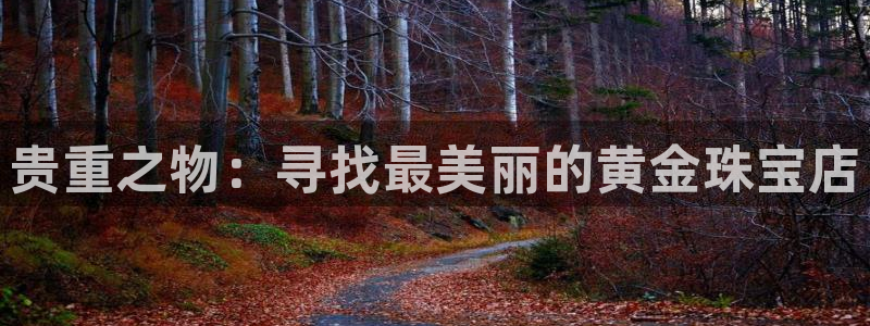 新航娱乐官网注册入口：贵重之物：寻找最美丽的黄金珠宝店