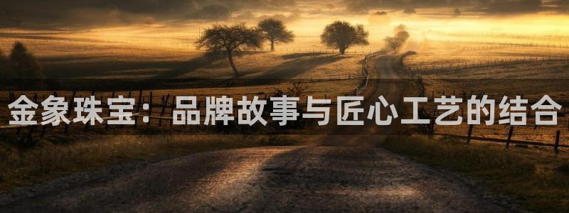 新航新客舱机上娱乐银