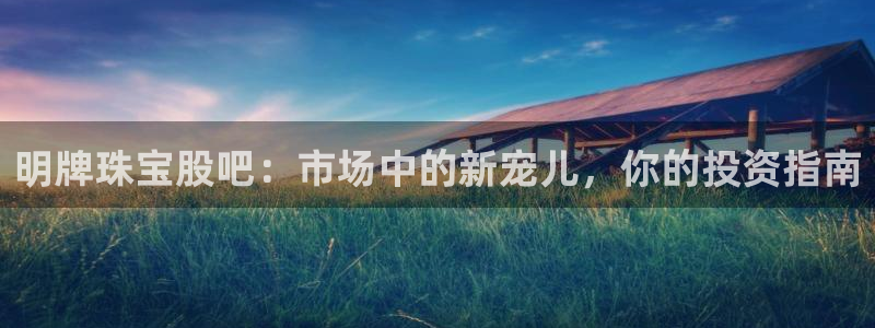 新航娱乐主管是谁：明牌珠宝股吧：市场中的新宠儿，你的投资指南