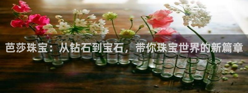 新航娱乐传媒招聘