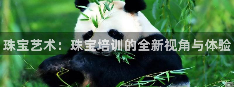 新航面试娱乐：珠宝艺术：珠宝培训的全新视角与体验