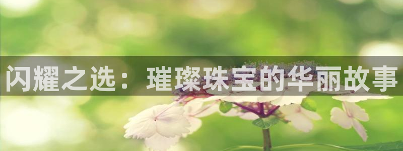 新航娱乐公司问题解决：闪耀之选：璀璨珠宝的华丽故事