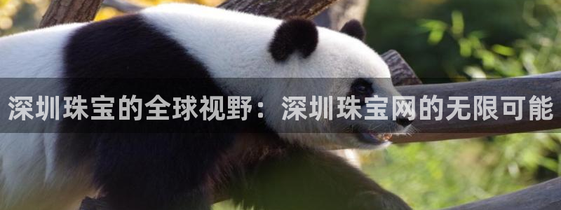 新航娱乐代理