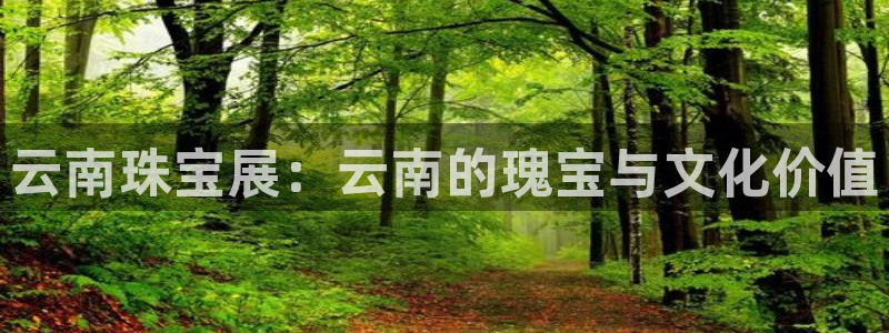 新航娱乐管理有限公司