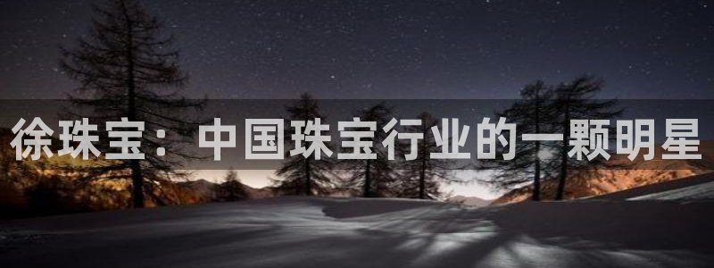 新航 娱乐系统：徐珠宝：中国珠宝行业的一颗明星