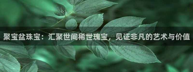 新航娱乐登录注册：聚宝盆珠宝：汇聚世间稀世瑰宝，见证非凡的艺