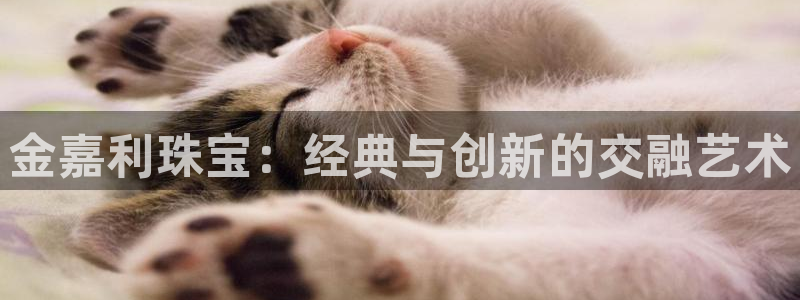 新航娱乐怎么样知乎：金嘉利珠宝：经典与创新的交融艺术