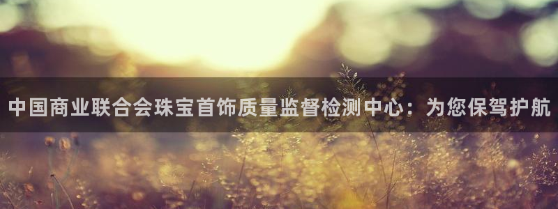 高州新航线娱乐俱乐部：中国商业联合会珠宝首饰质量监督检测中心