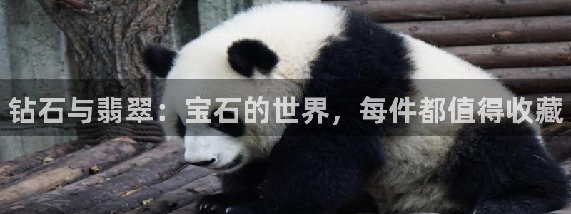 新航娱乐的创始人背景：钻石与翡翠：宝石的世界，每件都值得收藏