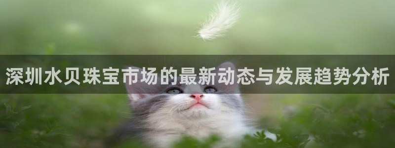云顶新航国际娱乐城：深圳水贝珠宝市场的最新动态与发展趋势分析