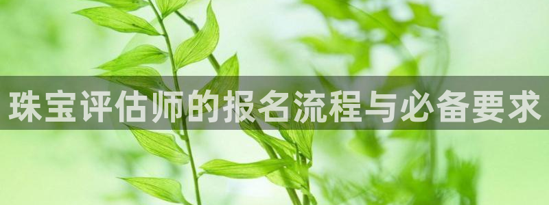 新航娱乐艺人：珠宝评估师的报名流程与必备要求