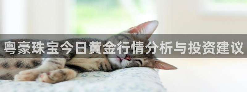 新航线辉煌娱乐会所：粤豪珠宝今日黄金行情分析与投资建议
