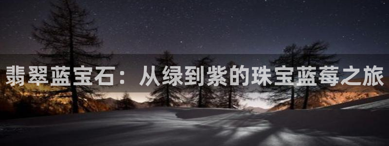 新航sq806娱乐系统