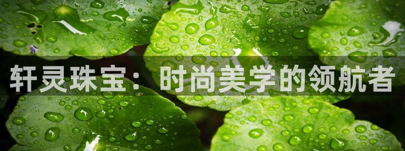 新航娱乐开户